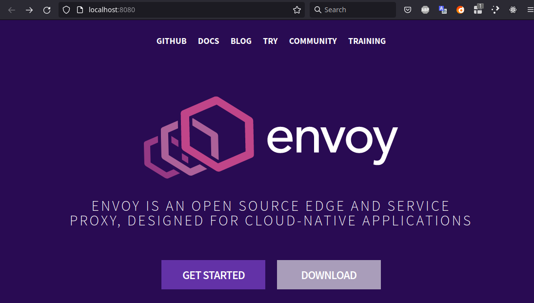 EnvoyProxy 1: Reverse Proxy – funnel-labs.io
